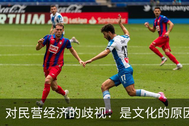 对民营经济的歧视：是文化的原因，还是意识形态的推动