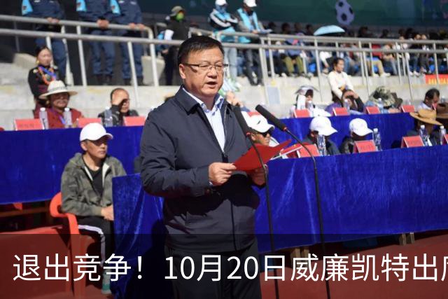退出竞争！10月20日威廉凯特出席公务，哈里梅根的在职说不攻自破